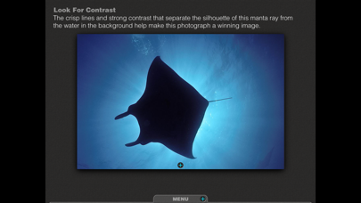 How to cancel & delete Silhouettes Underwater from iphone & ipad 3