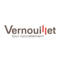 Avosvotes Vernouillet 78 app not working? crashes or has problems?