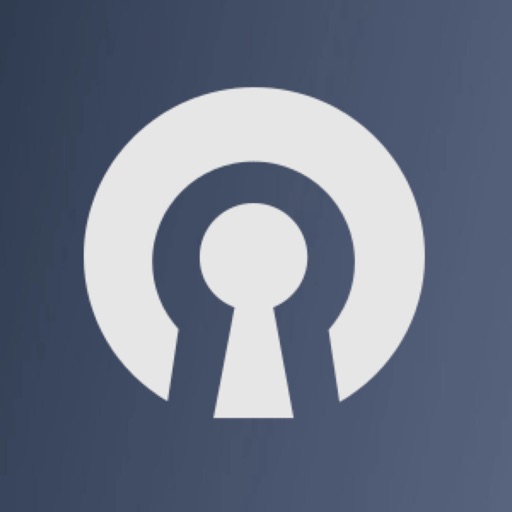 VPN Lite icon