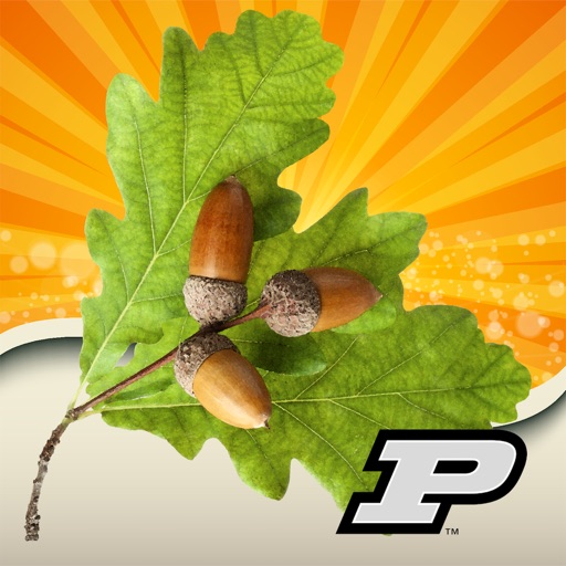 Purdue Tree Doctor Download