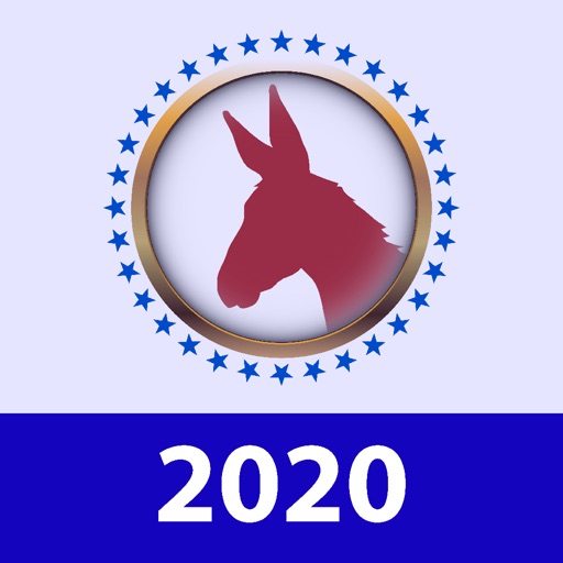 Democratic Election 2020 Icon