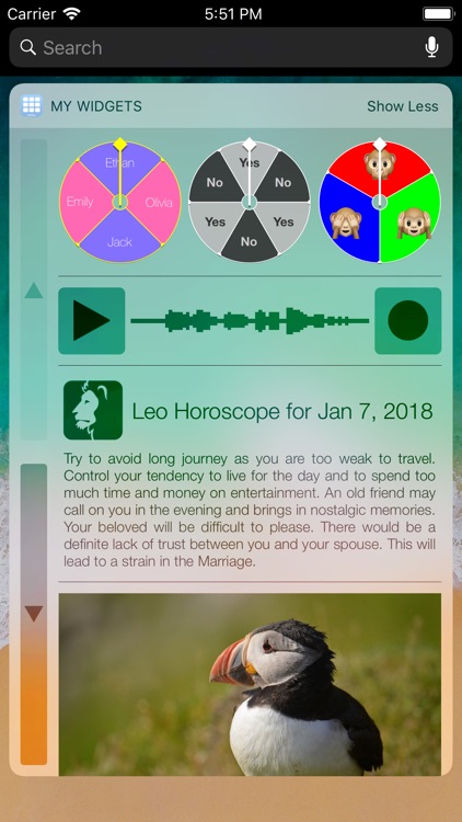 My Widgets screenshot-4