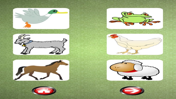 Sound Flash Cards of Animals