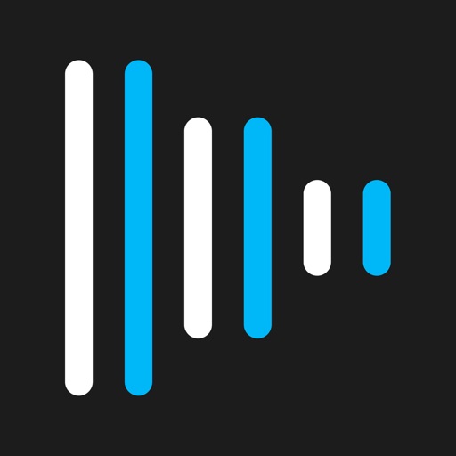 BLEASS Delay AUv3 Audio Plugin iOS App