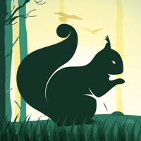 Squirrel Calls app not working? crashes or has problems?