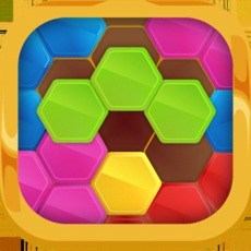 Activities of Block Hexa Puzzle Hex Puzzle