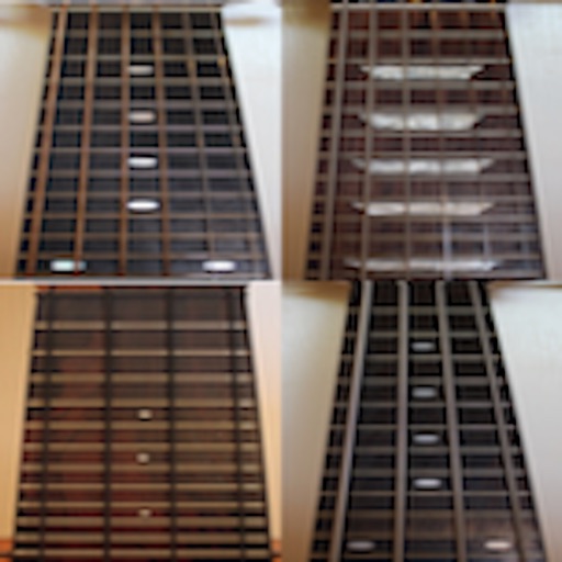 Super Guitar Fretboard Addict Icon