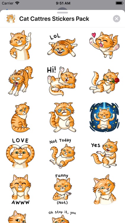 Cat Cattres Stickers Pack