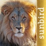 Get The Golden Safari Guide for iOS, iPhone, iPad Aso Report