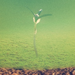 兰溪测土配方施肥