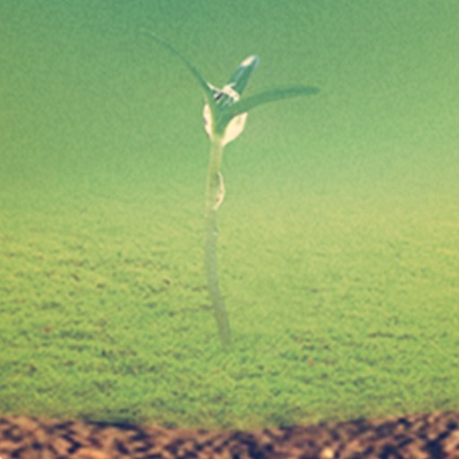 兰溪测土配方施肥