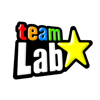 teamLab Inc. - teamLab チームラボ アートワーク