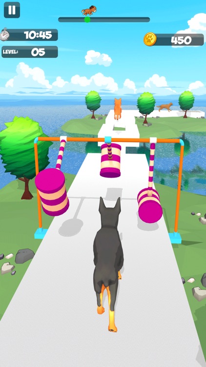 Dog Run Racer - Fun Race 3D screenshot-5
