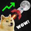 Doge Runner!