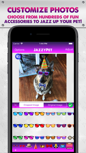 JazzyPet(圖2)-速報App