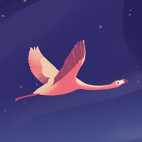 Festival Décibulles pour PC