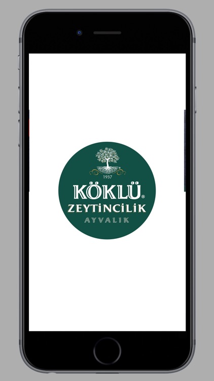 Köklü Zeytincilik