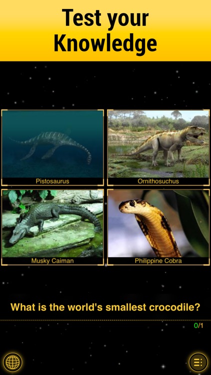 Dino Walk - Your World History screenshot-6
