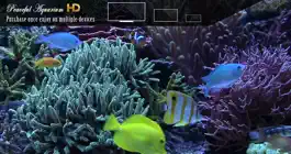 Game screenshot Peaceful Aquarium HD apk
