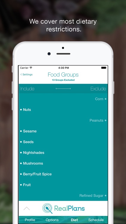 Real Plans - Meal Planner
