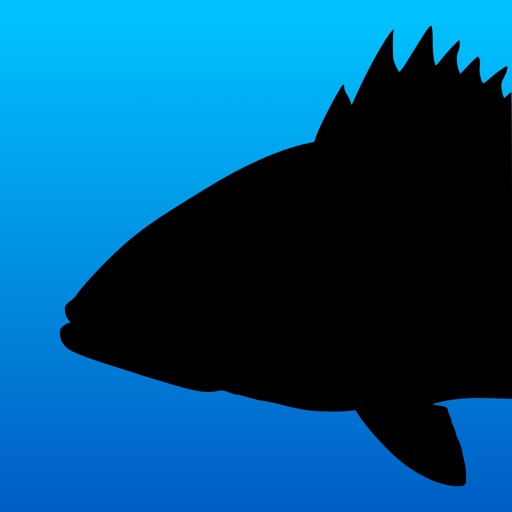 Fish Rules By Fish Rules Llc
