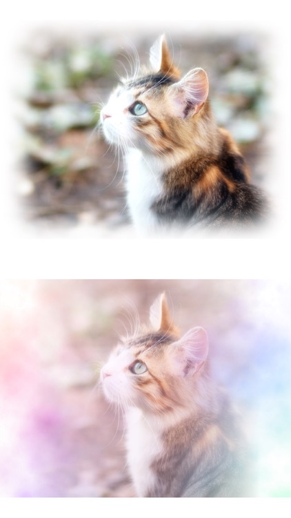 わたあめカメラ