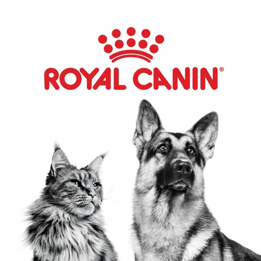royal canin point