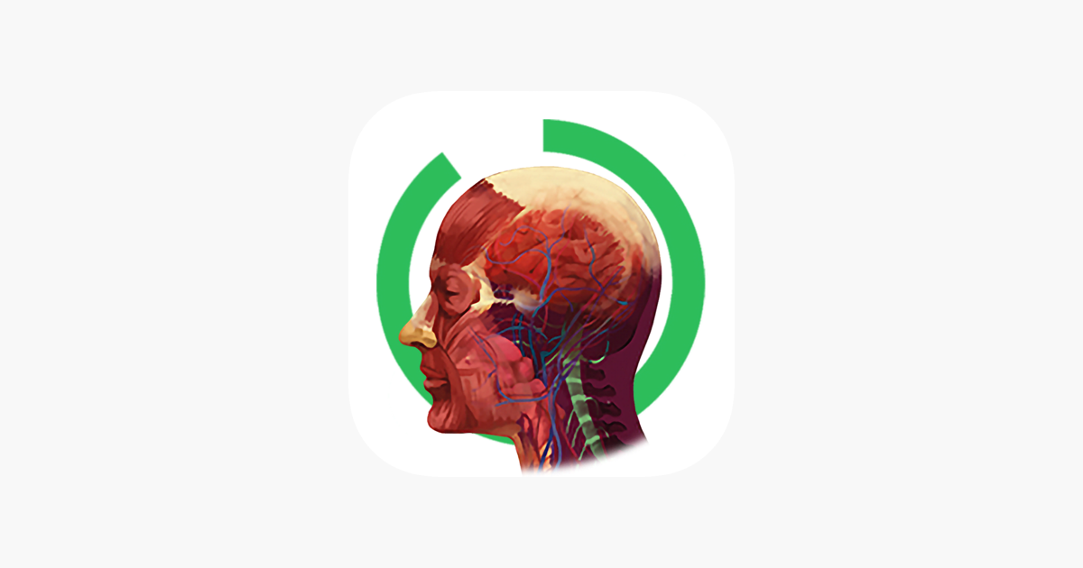 ‎Arloon Anatomy AR on the App Store