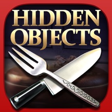 Activities of Hidden Object: Hell's Kitchen