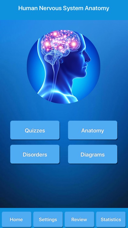 Human Nervous System Anatomy
