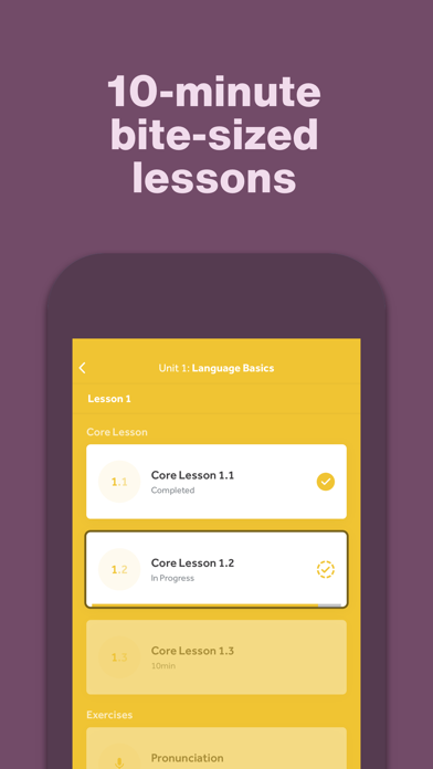 Rosetta Stone: Learn Languages