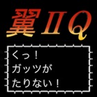 Tsubasa II Q edition