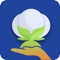 Cott-Ally is a free mobile-based application owned by The Cotton Corporation of India Limited, which provides a platform to farmers cultivating cotton