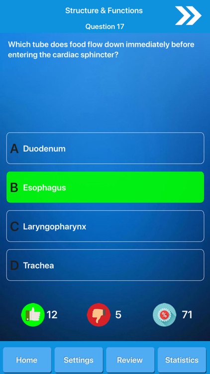 Human Digestive System Anatomy