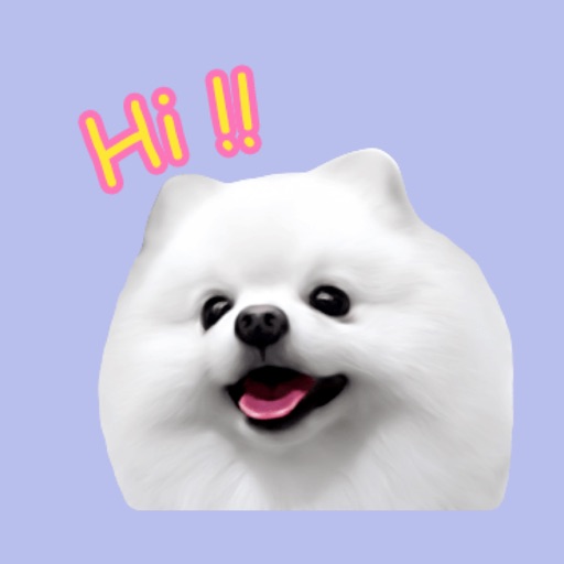 Pomeranian White Dog Stickers icon