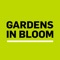 Gardens in Bloom App is a geolocation game that gamify the Chihuly arts exploration in Gardens by the Bay