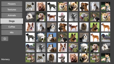 Screenshot #4 for TV Momery