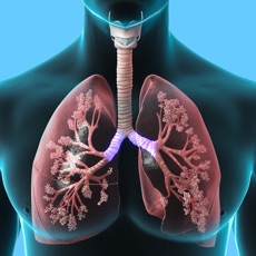 Activities of Respiratory System Trivia