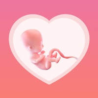 Contact Pregnancy Tracker - BabyInside