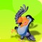Angry Toucan Pop Birds Saga!
