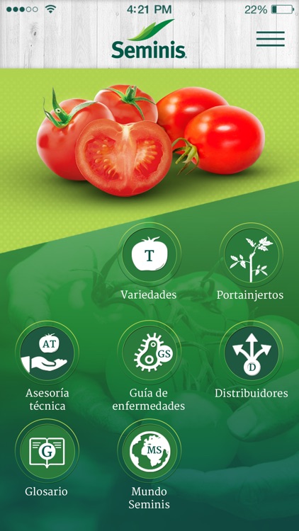 Seminis Tomates