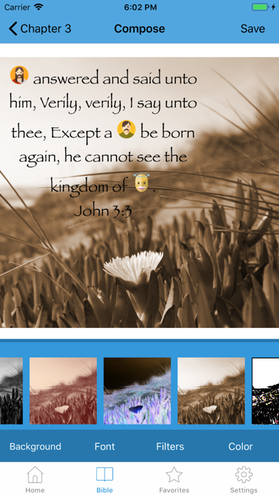 Emoji Bible screenshot 3