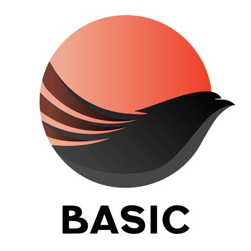 HonkiBasic - Basic Japanese Download