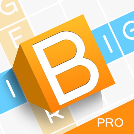 iBigger Pro icon