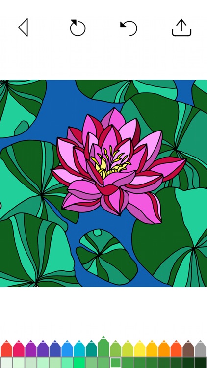 Flower Coloring Book Games screenshot-4