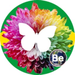 Instituto Holístico