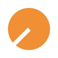 Findity Expense на пк