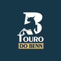 Touro do Benn