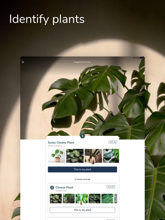 Candide – Plants  Gardening