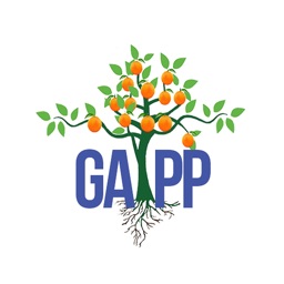 GAPP APP- Honey Bun Foundation